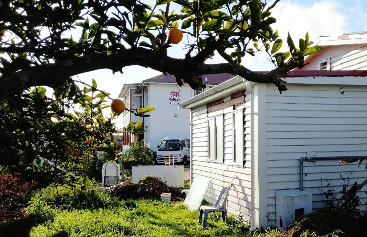 42B College House Hostel Whanganui Exterior photo